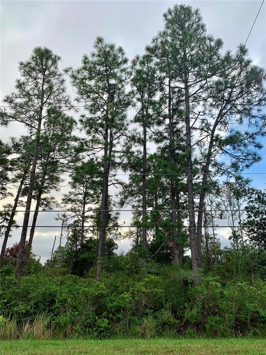 WOW, 4.31 Acres in The Beautiful Wedgefield Golf & Equestrian Community! Per the report this has buildable uplands area! These large Parcel are few and far between. This is an exceptional opportunity to build your dream home in the amazing Wedgefield neighborhood. Wedgefield is known for its upscale living, offering many amenities, including a large playground, outdoor workout gym, sports courts, golfing, and Equestrian friendly. Wedgefield is a Golf Lover's Paradise! Tee off at the beautiful 18-hole golf course with a community clubhouse and restaurant. Wedgefield is home to Hal Scott Regional Preserve and Park a 9,515-acre nature preserve. Hal Scott Preserve boasts miles of unspoiled sanctuary trails for hiking along the scenic shoreline of the Econlockhatchee River, with plenty of wildlife to view!! Trails are available for hiking, horseback riding and bicycling, and fishing is permitted. Enjoy an easy commute to major roadways such as 528 and Hwy 520, and take advantage of nearby K-8 schools, shopping centers, restaurants, and the beautiful beaches of Florida just to the East. Make an offer to start living the dream  in Wedgefield, a hidden gem community of East Orange County! 

Buyer Responsible to confirm all data and conduct due diligence.