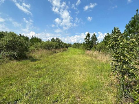 Tiny photo for Morriston, FL 32668 (MLS # OM686174)