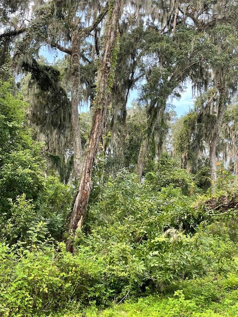 Tiny photo for Morriston, FL 32668 (MLS # OM686174)