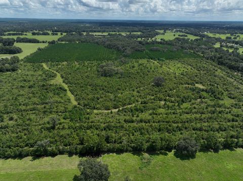 Tiny photo for Morriston, FL 32668 (MLS # OM686174)