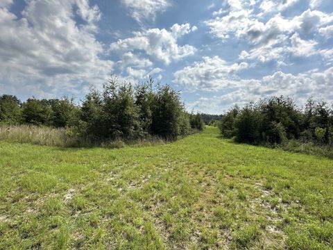 Tiny photo for Morriston, FL 32668 (MLS # OM686174)