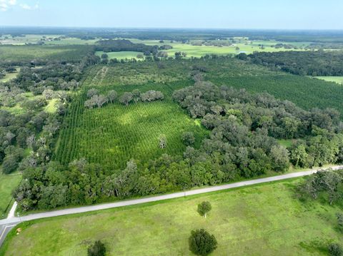 Tiny photo for Morriston, FL 32668 (MLS # OM686174)