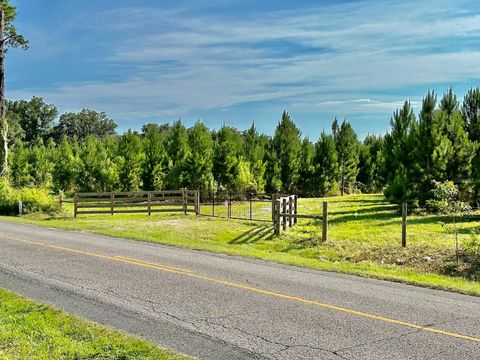 Tiny photo for Morriston, FL 32668 (MLS # OM686174)