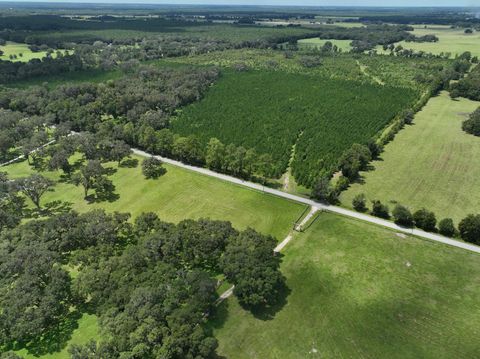 Tiny photo for Morriston, FL 32668 (MLS # OM686174)