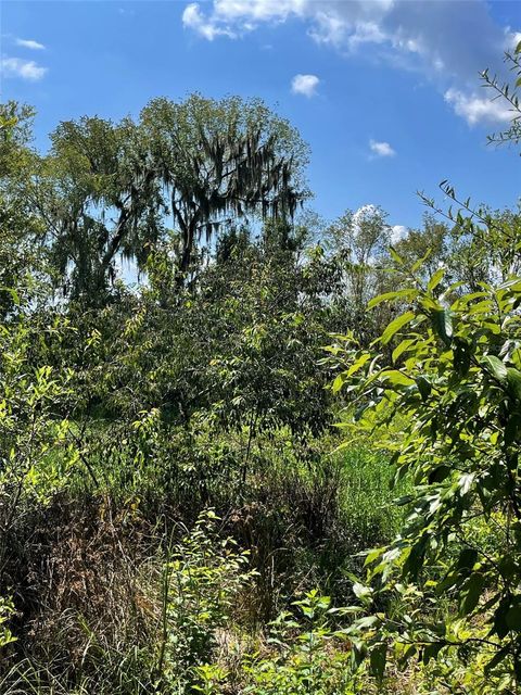 Tiny photo for Morriston, FL 32668 (MLS # OM686174)