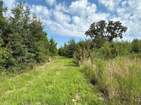 Tiny photo for Morriston, FL 32668 (MLS # OM686174)