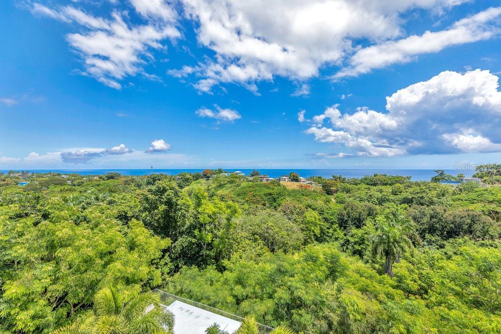 POINCIANA APARTMENTS - Residential