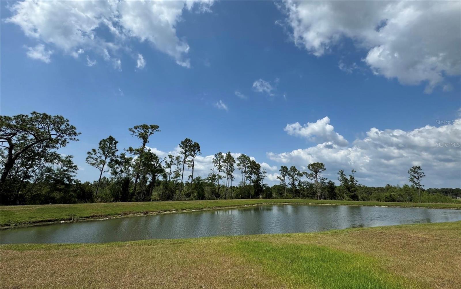8922 LITTLE BLUESTEM DRIVE