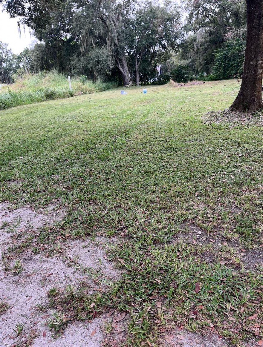 Open and ready to view! This spacious lot has been mostly cleared, providing a clean canvas for your dream home or investment project. Located in a convenient area of Plant City, it offers easy access to shopping, dining, schools, and major roads. With ample space and a level layout, this property is ideal for building the home you’ve been imagining. Don’t miss this rare opportunity to own a well-maintained lot in a desirable neighborhood!