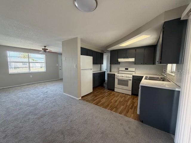 HOLIDAY LAKE ESTATES - Residential