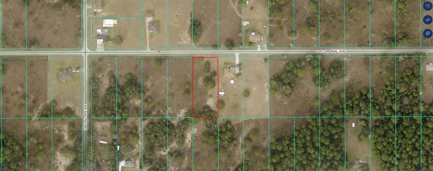 Vacant 0.99-acre lot in the rapidly developing Rainbow Lakes Estates subdivision. Property has minimal trees making it easier and more cost-effective to clear. Conveniently located near Hwy 41, it offers quick access to Ocala, Dunnellon, Rainbow Springs, Crystal River, as well as nearby dining and shopping. Paved road frontage.
