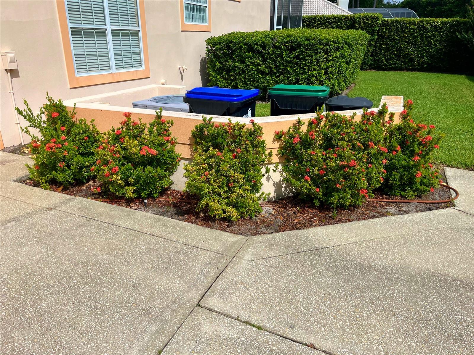 BRENTWOOD CLUB PH 02 REP - Residential