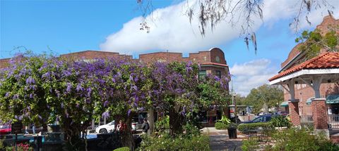 A home in WINTER GARDEN