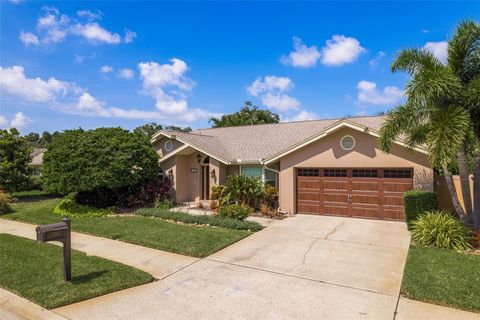 A home in SAFETY HARBOR