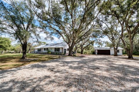 Photo of 5310 Jim Davis Road, Parrish, FL 34219 (MLS # A4669394)