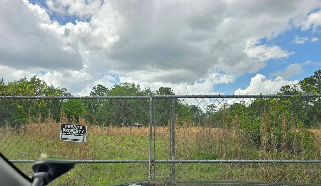 Photo of 8878 SE 180th Avenue Road, Ocklawaha, FL 32179 (MLS # O6395256)