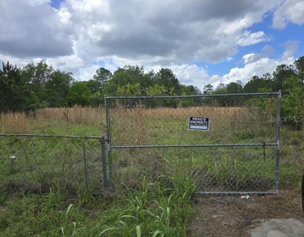 Photo of 8878 SE 180th Avenue Road, Ocklawaha, FL 32179 (MLS # O6395256)