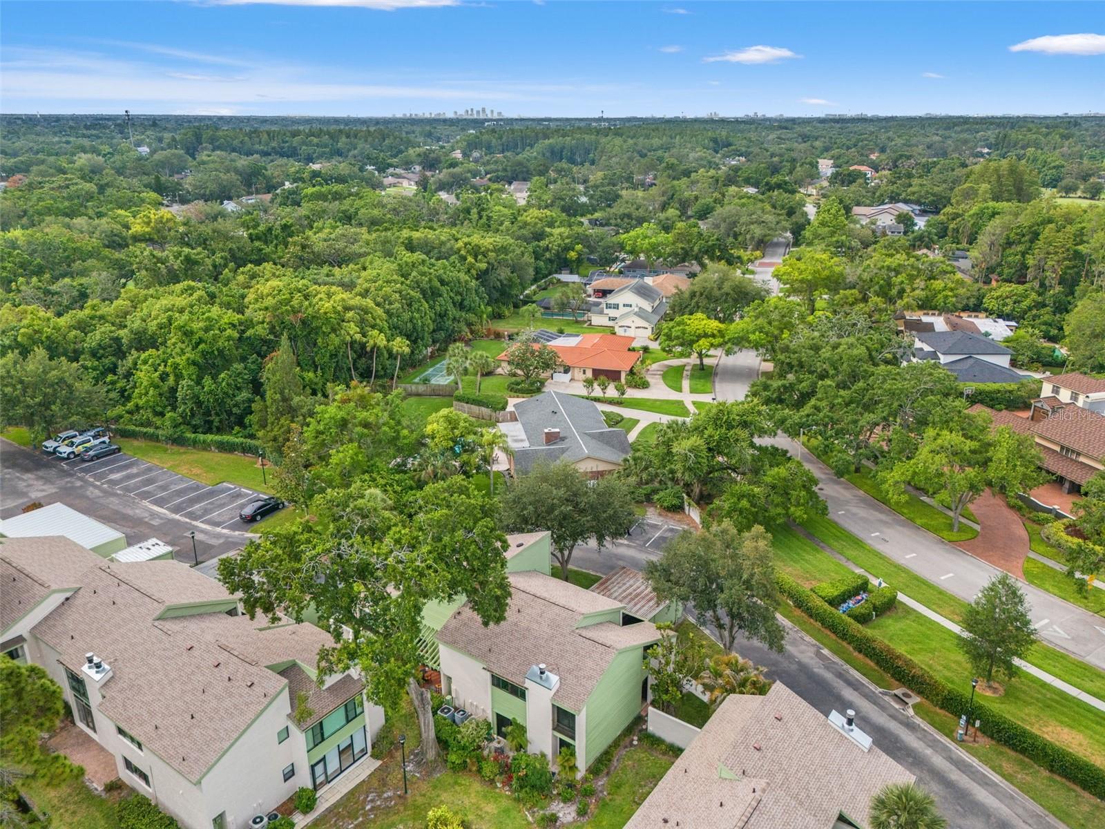 CARROLLWOOD VILLAGE PINE LAKE - Residential