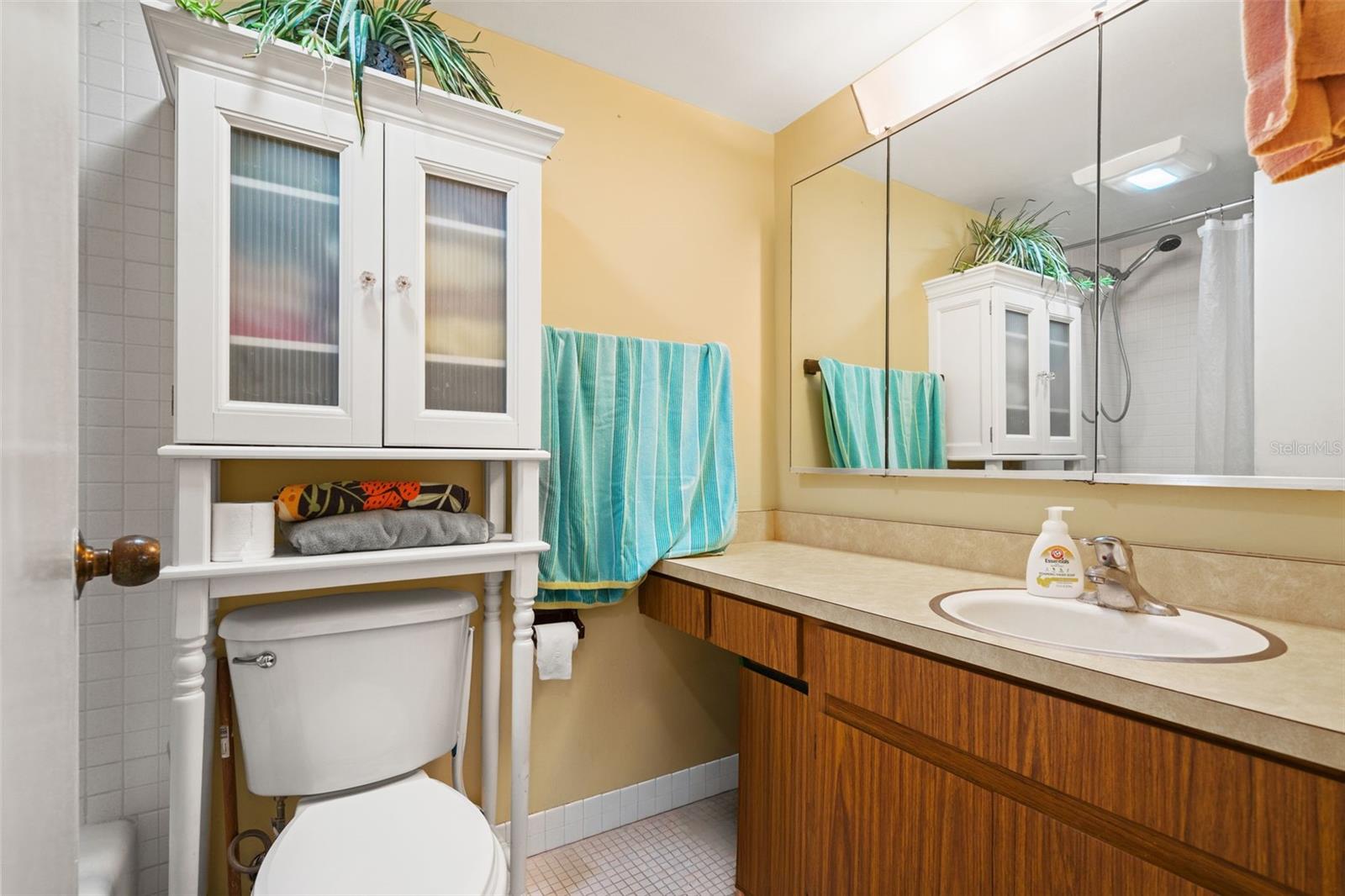 CARROLLWOOD VILLAGE PINE LAKE - Residential