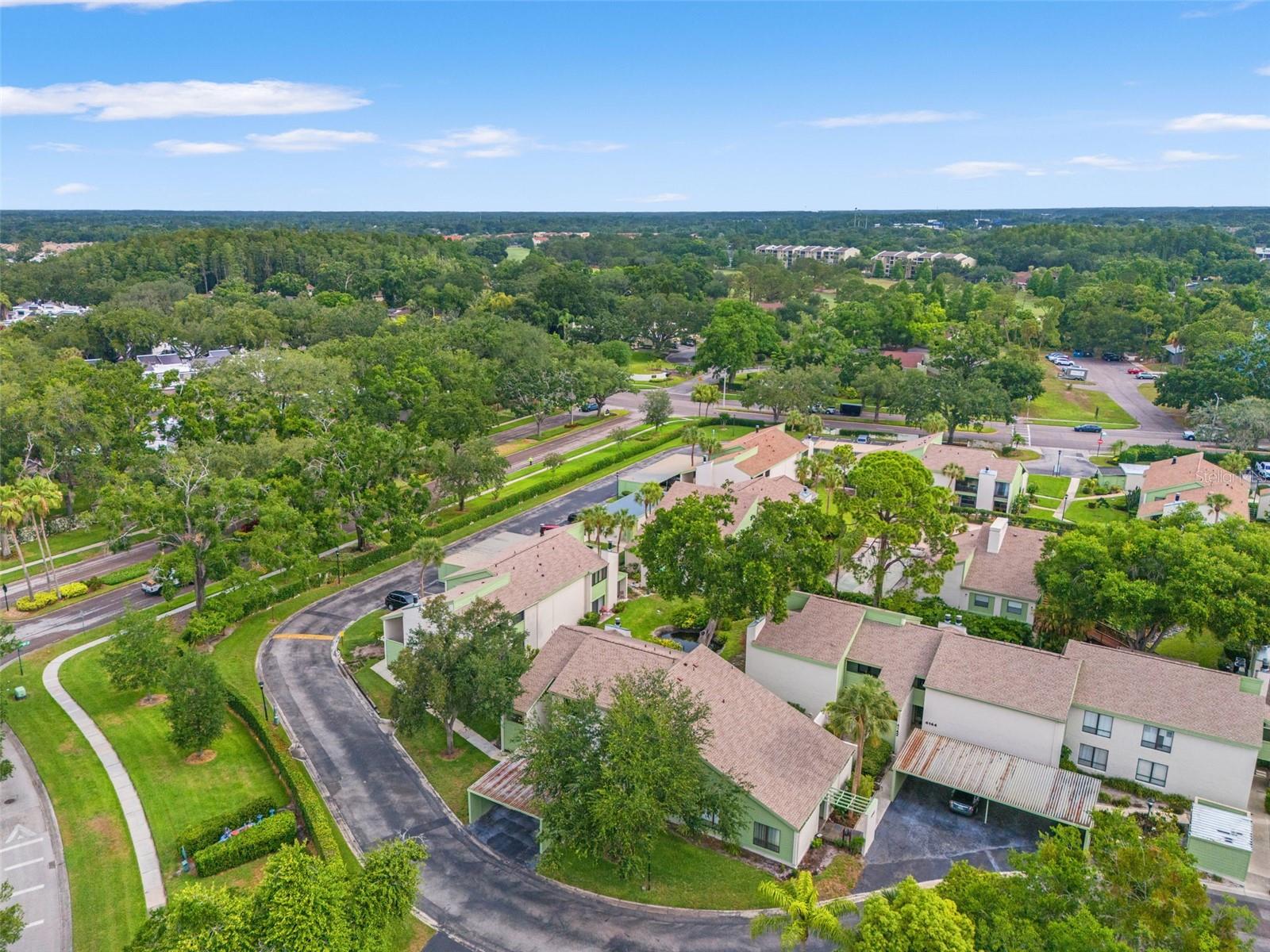 CARROLLWOOD VILLAGE PINE LAKE - Residential