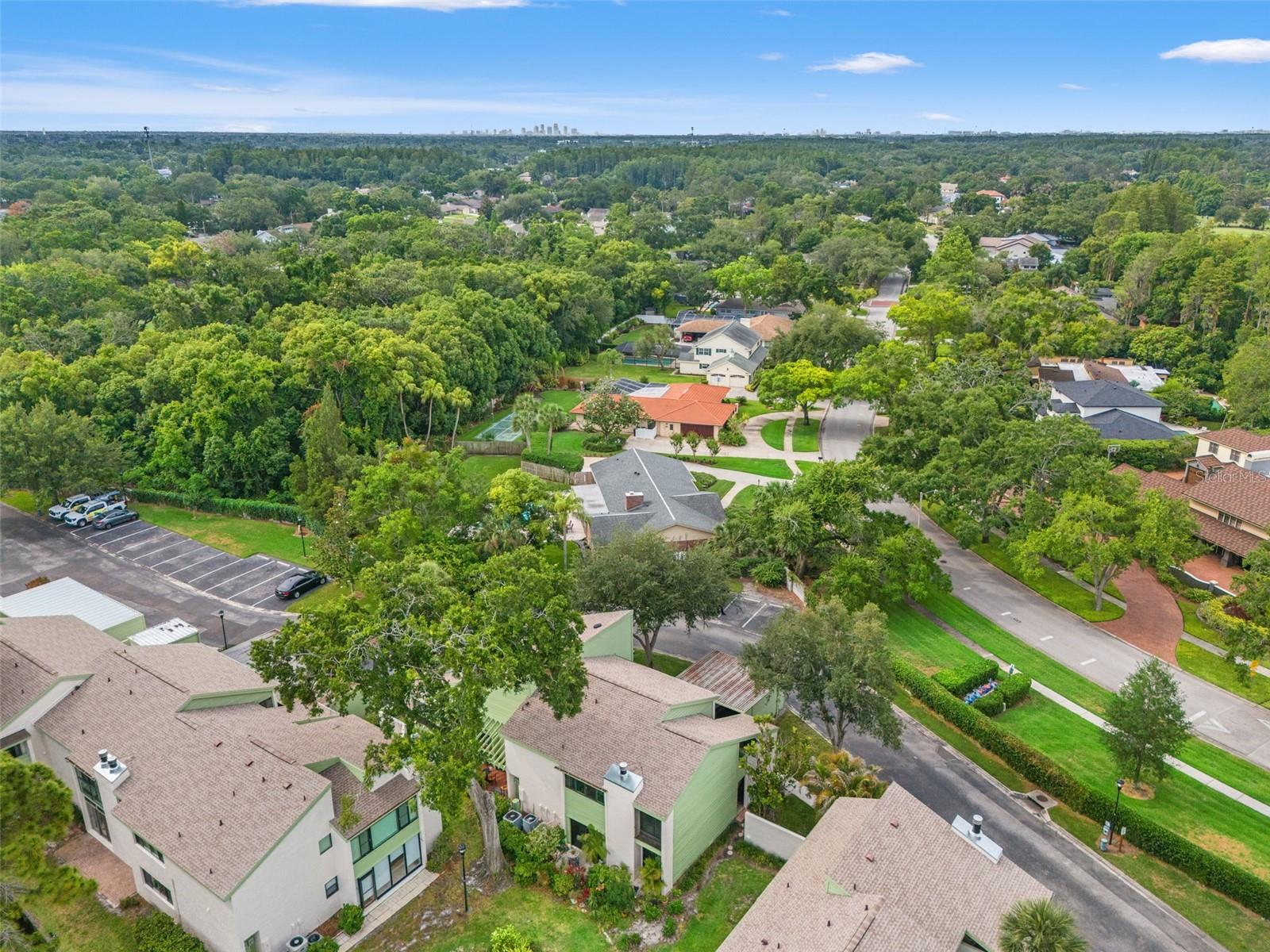 CARROLLWOOD VILLAGE PINE LAKE - Residential