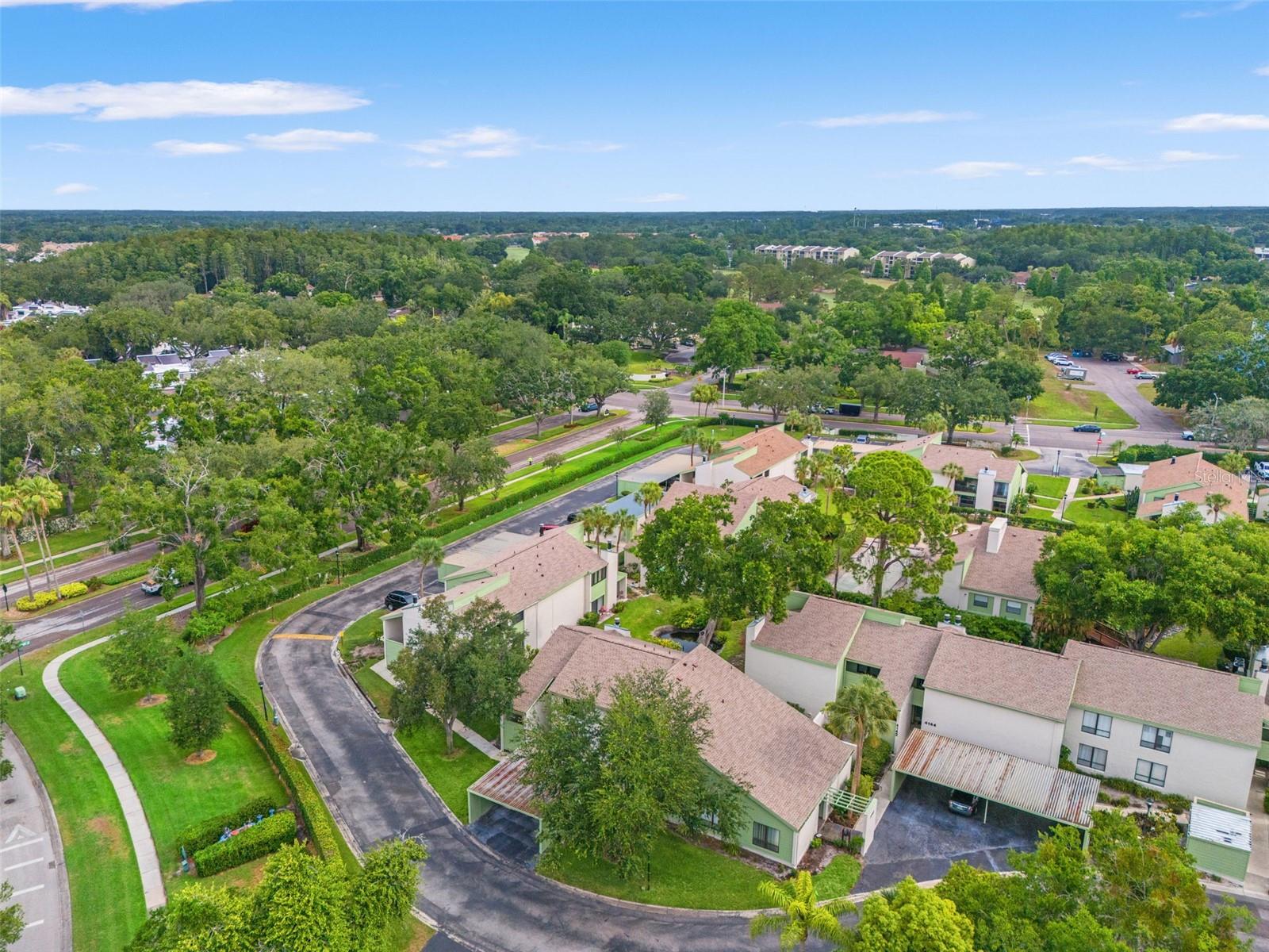 CARROLLWOOD VILLAGE PINE LAKE - Residential