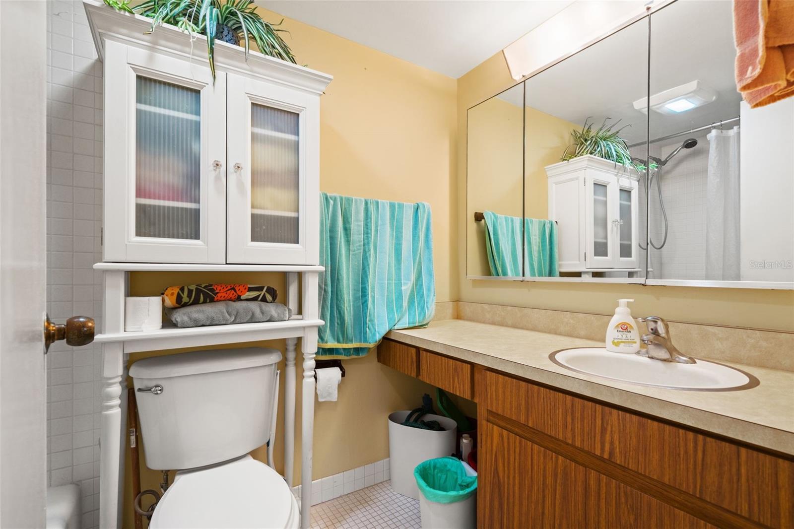 CARROLLWOOD VILLAGE PINE LAKE - Residential