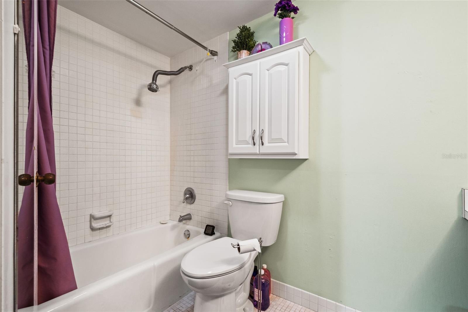 CARROLLWOOD VILLAGE PINE LAKE - Residential