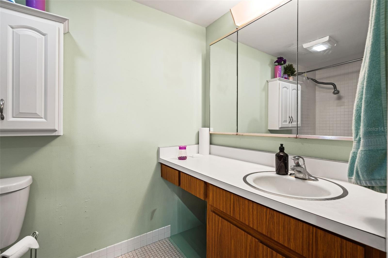 CARROLLWOOD VILLAGE PINE LAKE - Residential