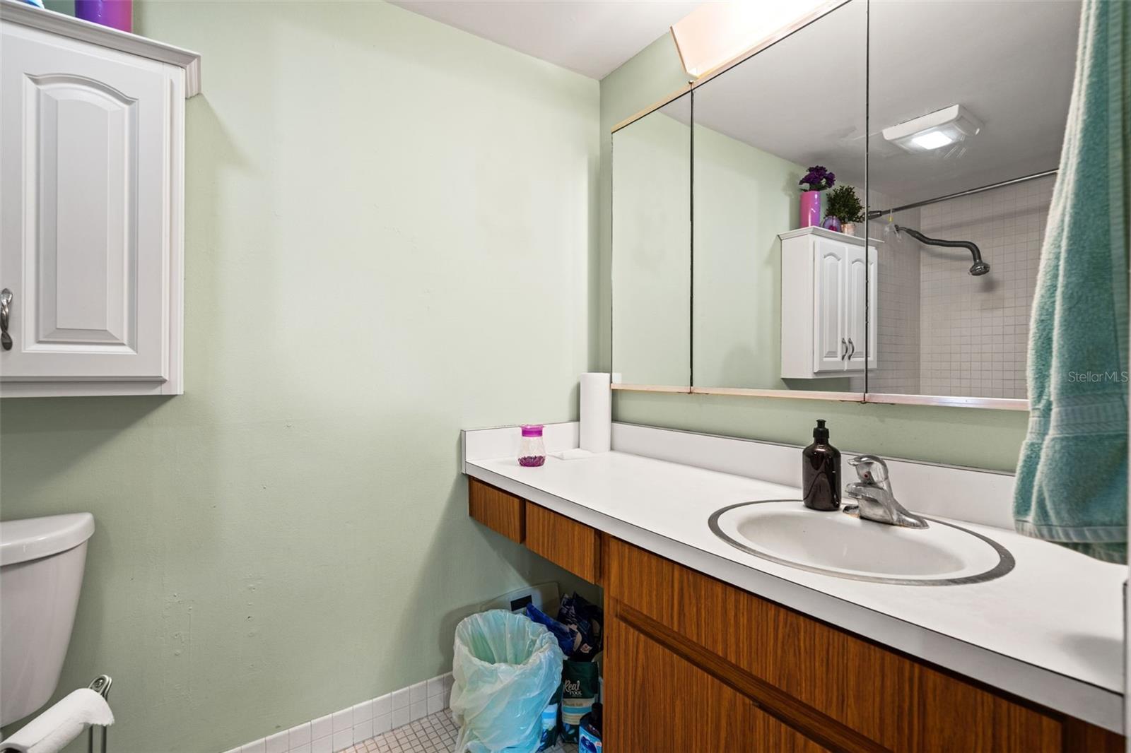 CARROLLWOOD VILLAGE PINE LAKE - Residential