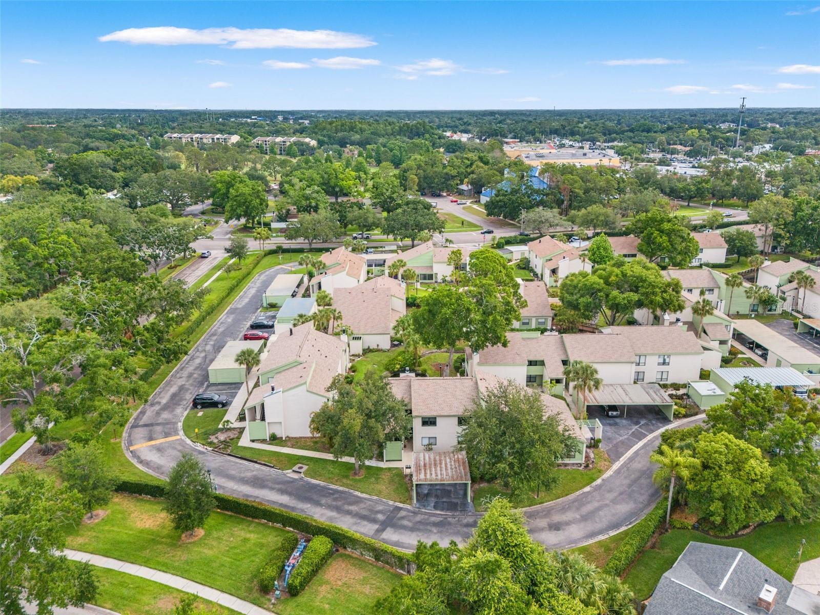 CARROLLWOOD VILLAGE PINE LAKE - Residential