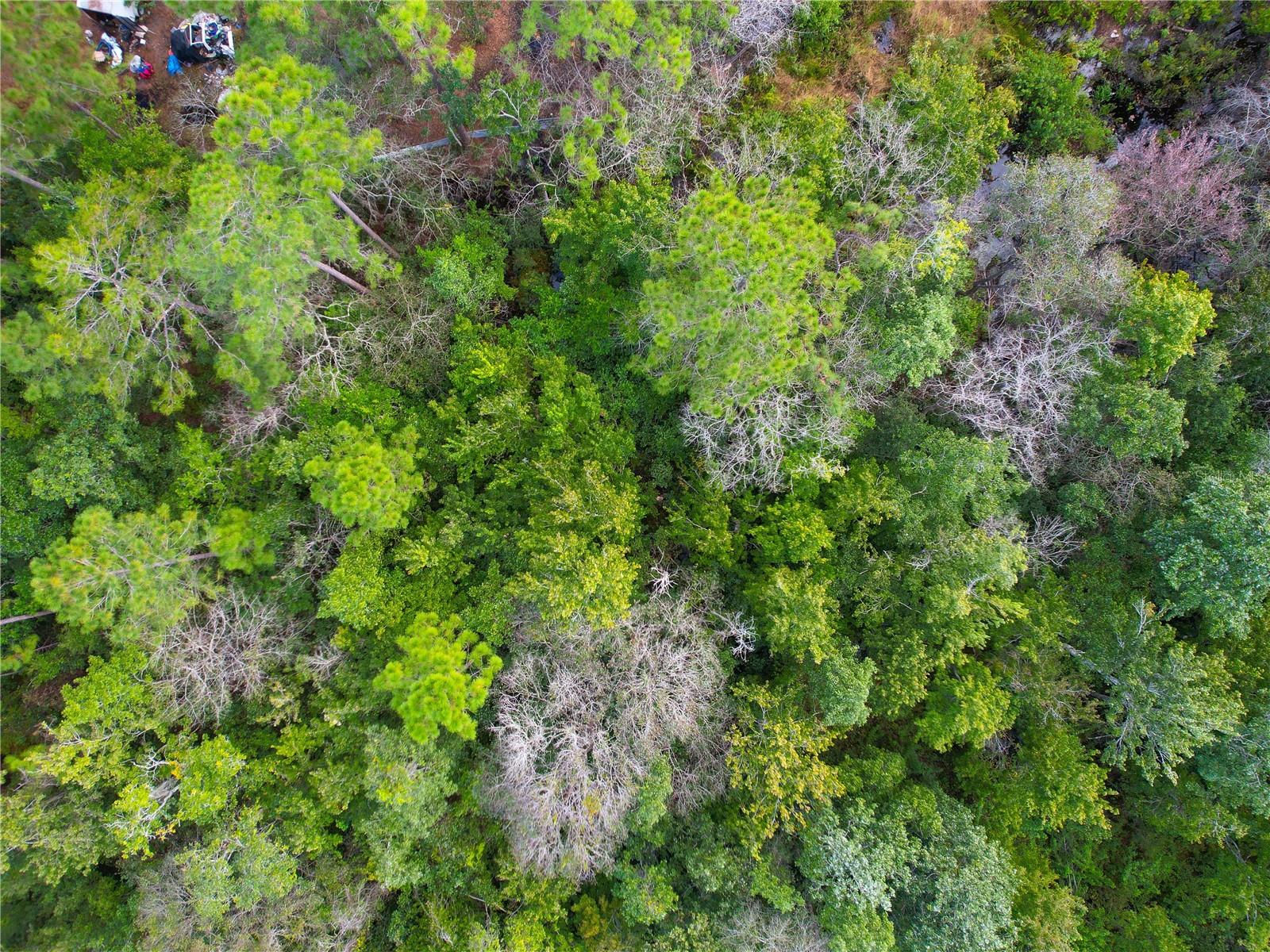 ST CLOUD MANOR ESTATES UNIT 3 - Land