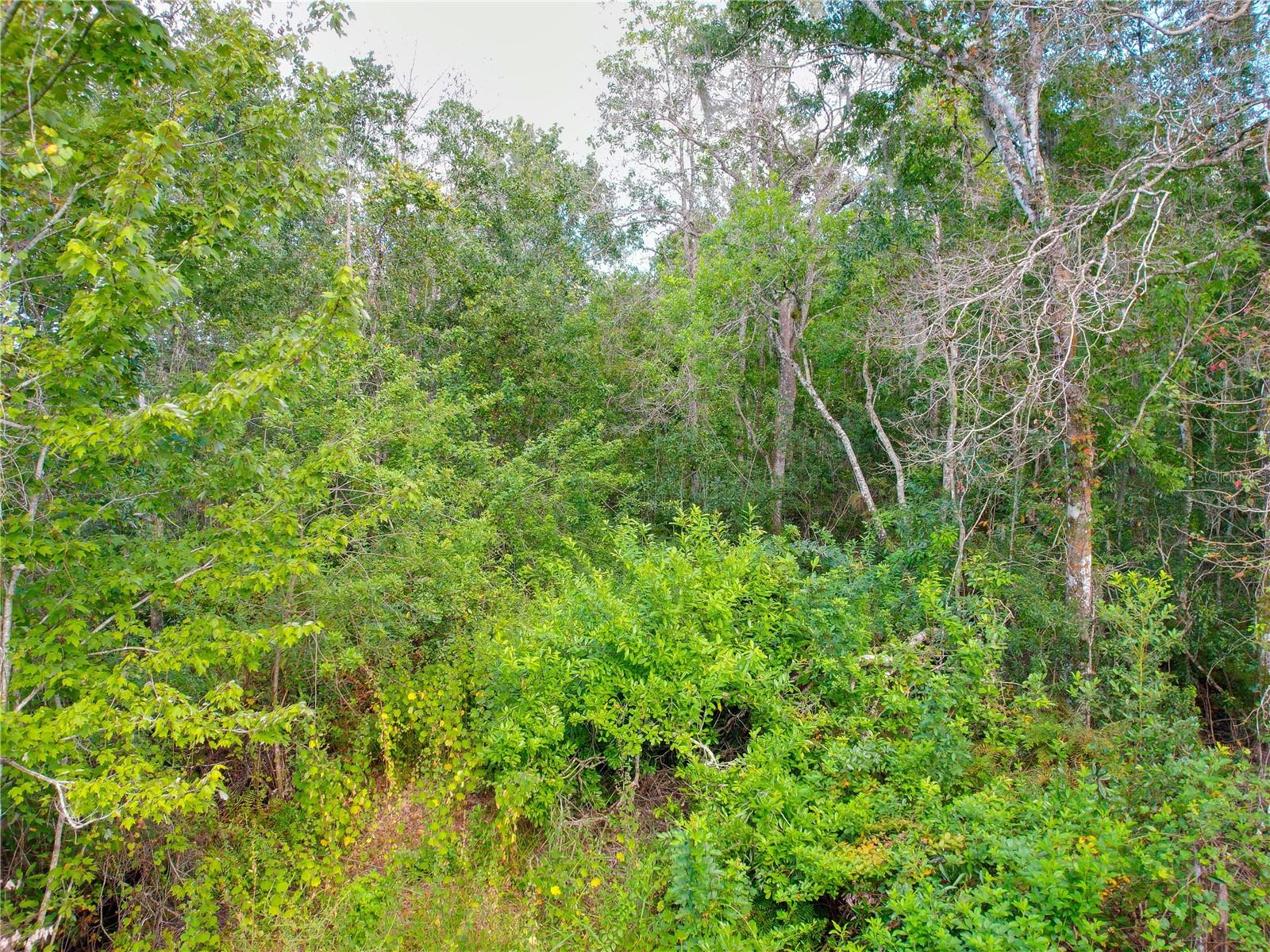 ST CLOUD MANOR ESTATES UNIT 3 - Land