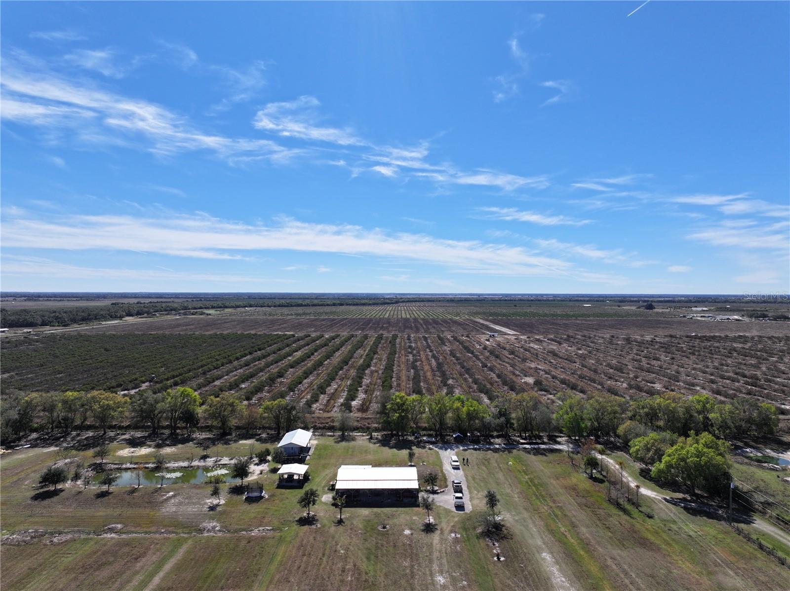 ARCADIA - Residential