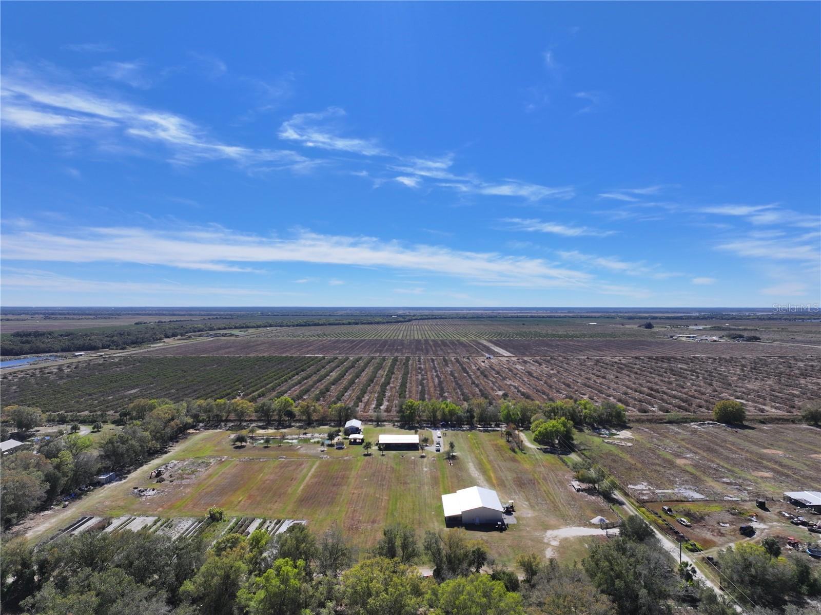 ARCADIA - Residential