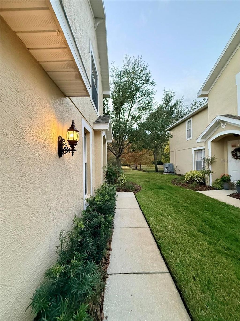 Photo of 6517 Spring Oak Court, Tampa, FL 33625 (MLS # O6395421)