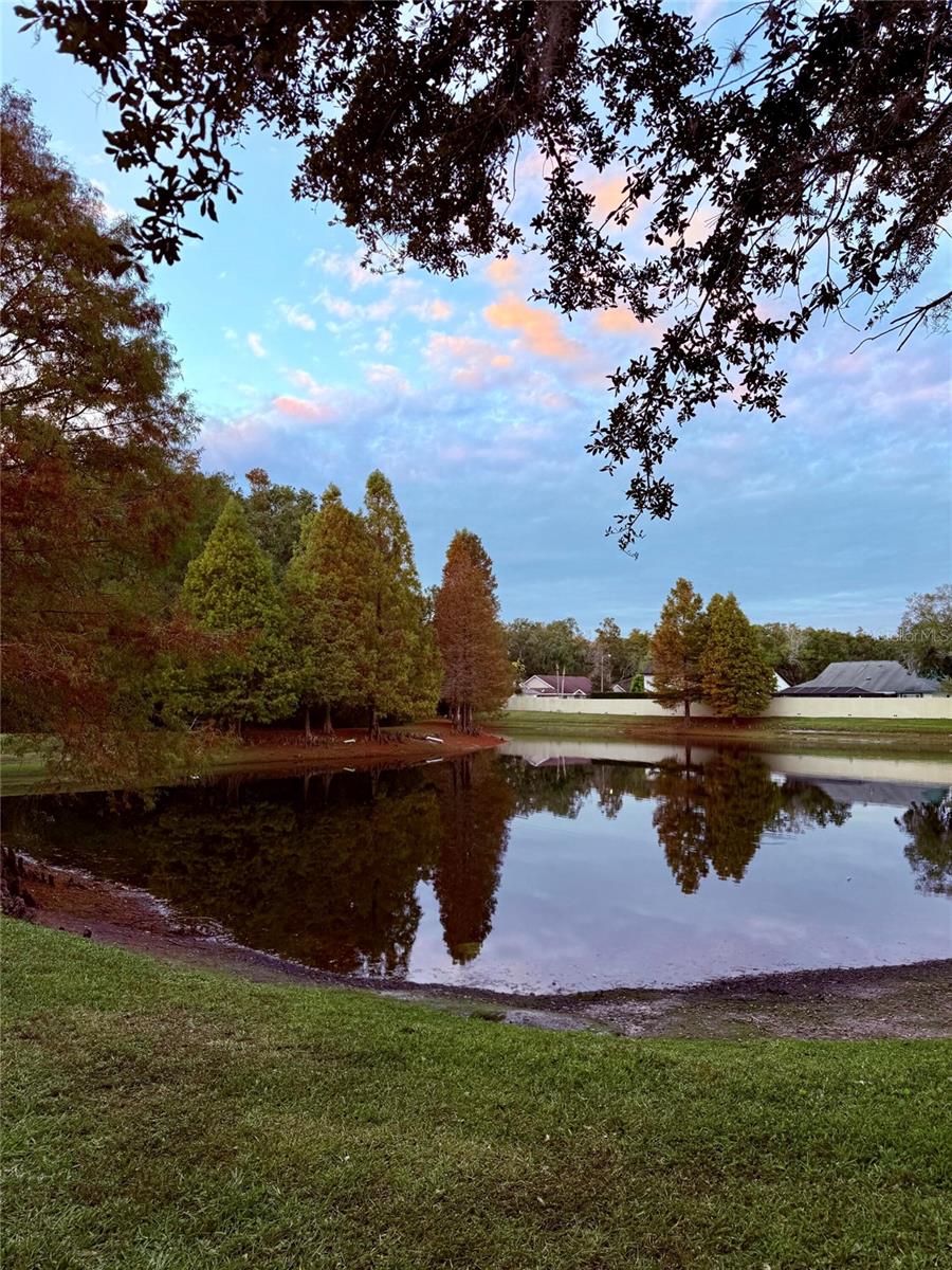 TOWNHOMES AT TURTLE CREEK - Residential