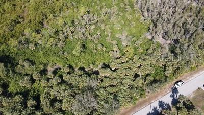 WYCHEWOOD SHORES - Land