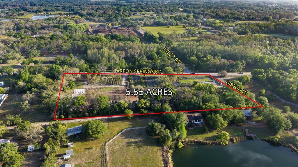 Photo of 12980 Tarpon Springs Road, Odessa, FL 33556 (MLS # TB8506003)