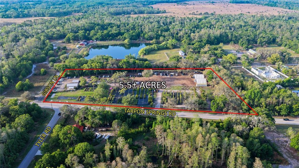 Photo of 12980 Tarpon Springs Road, Odessa, FL 33556 (MLS # TB8506003)