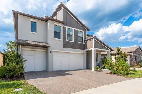 21590 VIOLET PERIWINKLE DRIVE LAND O LAKES FL 34637