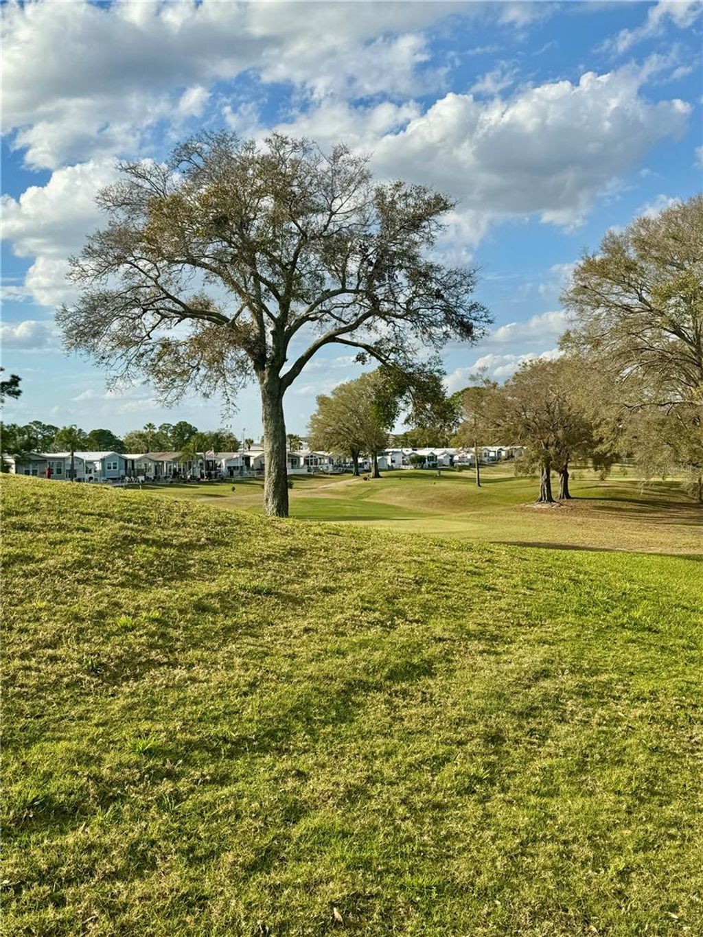 listing image 45
