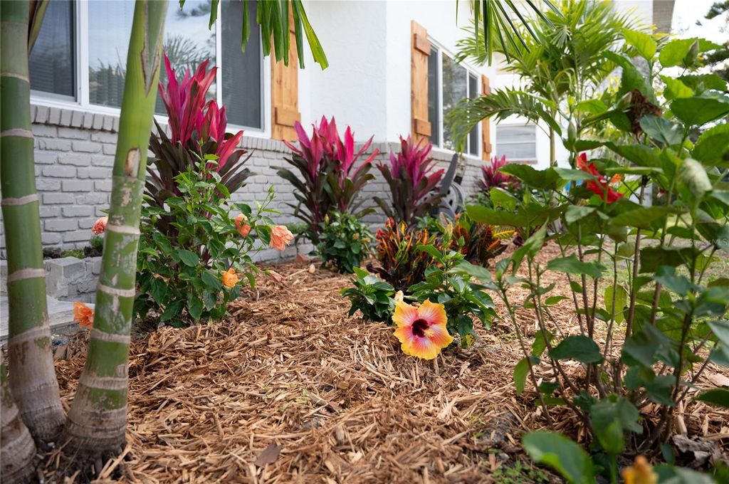 Photo of 6613 Blue Heron Drive S, St Petersburg, FL 33707 (MLS # TB8460660)