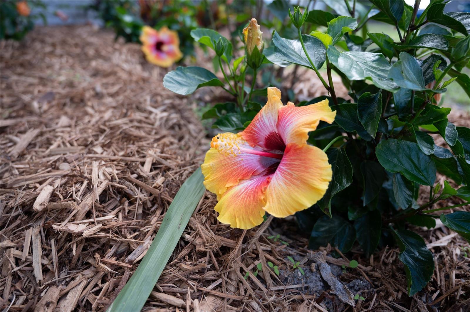 6613 BLUE HERON DRIVE S