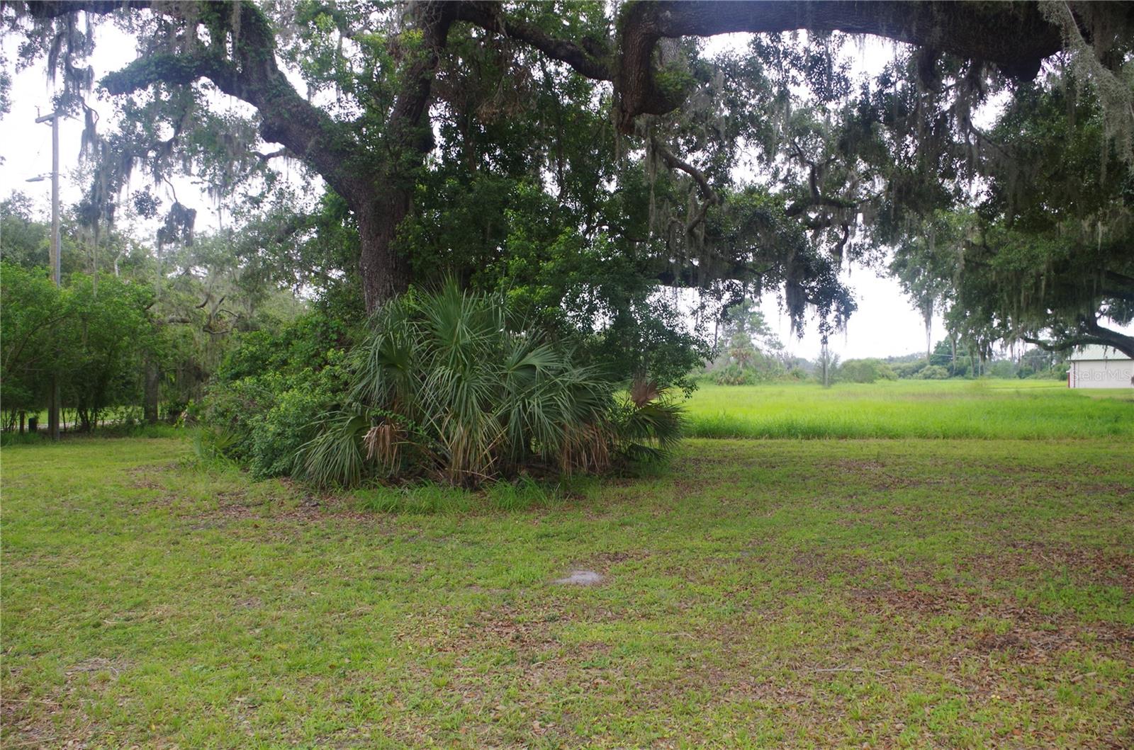 6501 MUCK POND ROAD