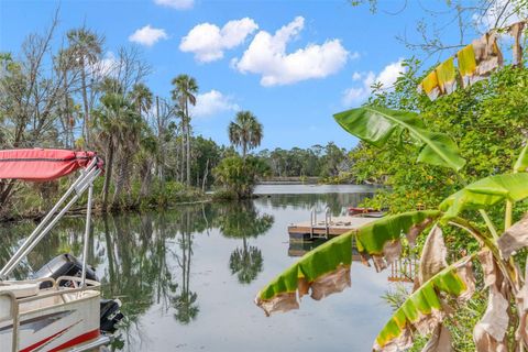 A home in WEEKI WACHEE