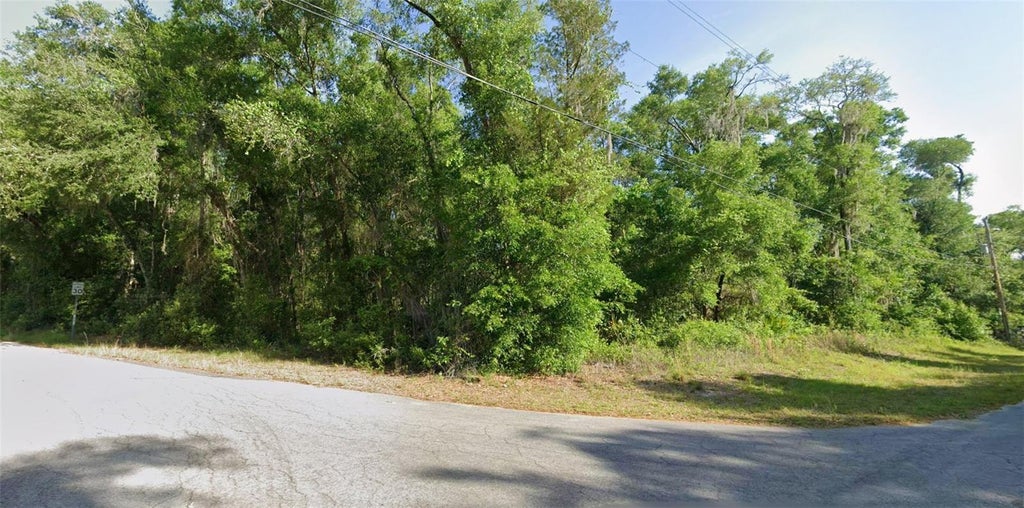 Photo of 6365 E Peach Street, Inverness, FL 34452 (MLS # O6428210)