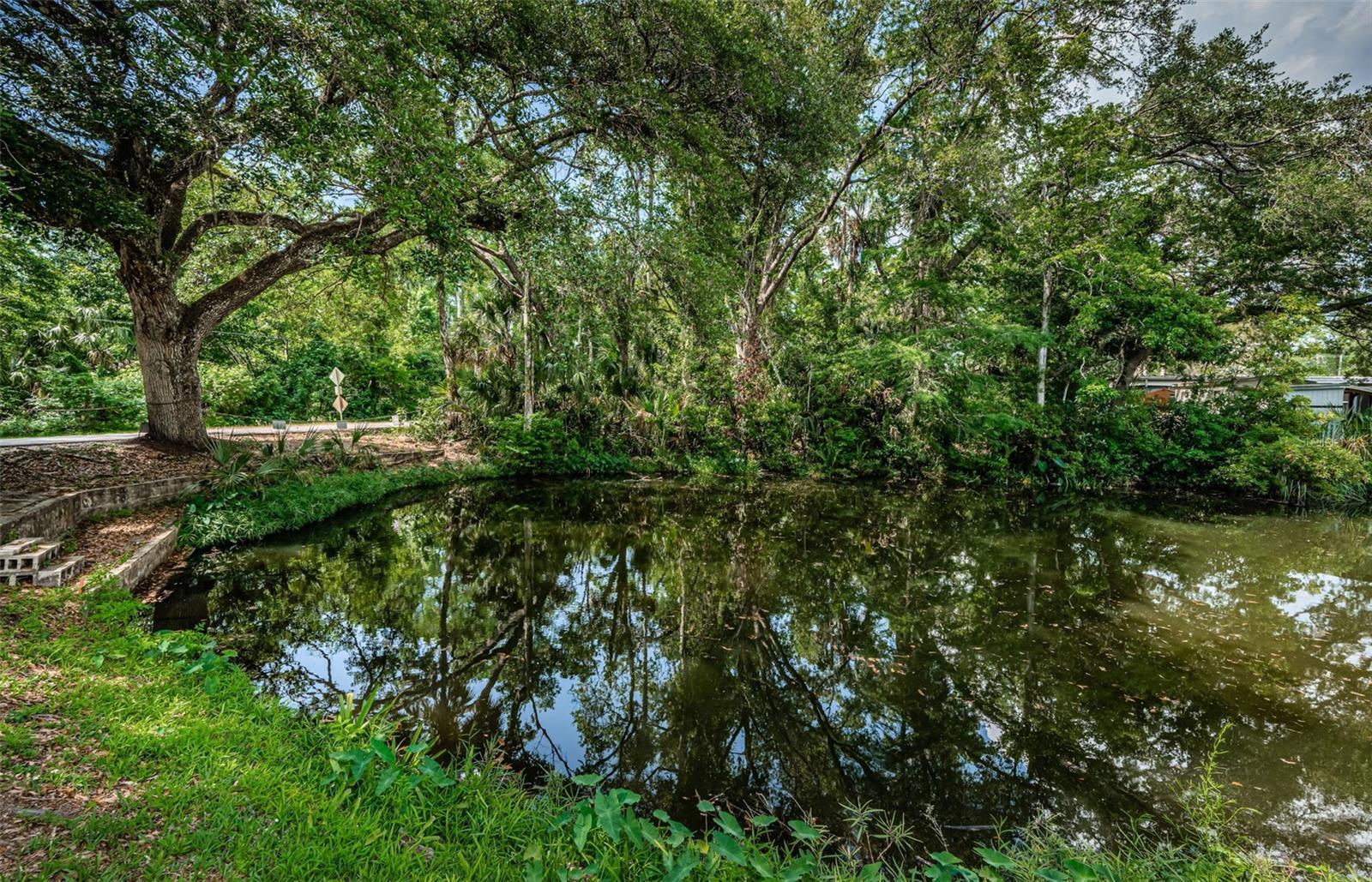WEEKI WACHEE RIVER ESTATE - Residential