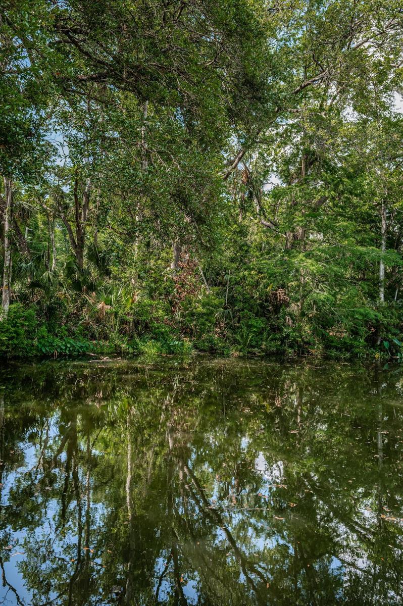 WEEKI WACHEE RIVER ESTATE - Residential