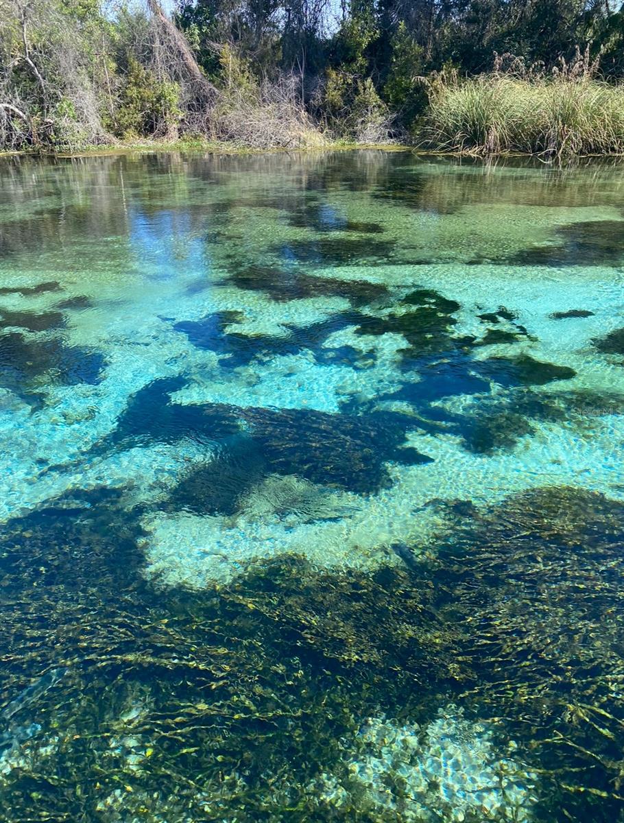 WEEKI WACHEE RIVER ESTATE - Residential